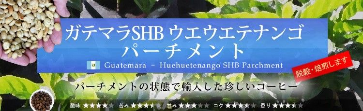 ガテマラ・ウエウエテナンゴ パーチメント 珈琲豆