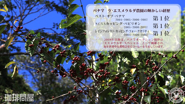 パナマ・エスメラルダ農園の輝かしい経歴