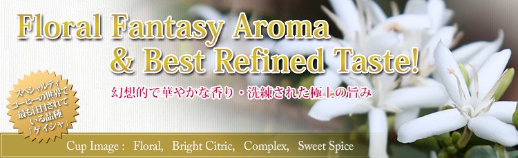 Geisha フローラル・ブライトシトリック・コンプレックス・スイートスパイス 幻想的で華やかな香り・洗練された極上の旨み