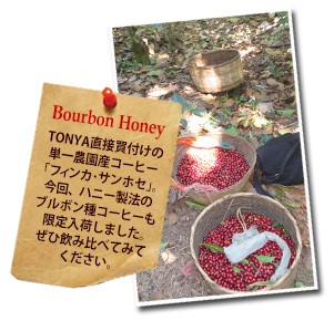 エルサルバドル・農園イメージ