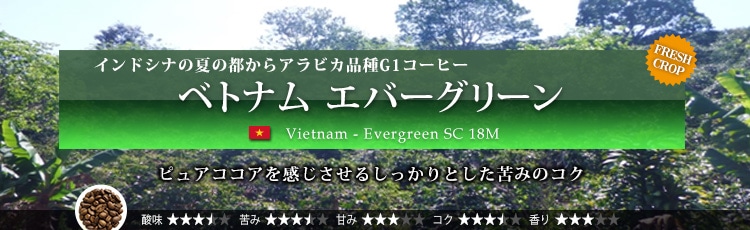 ベトナム エバーグリーン - Vietnam Evergreen SC 18M