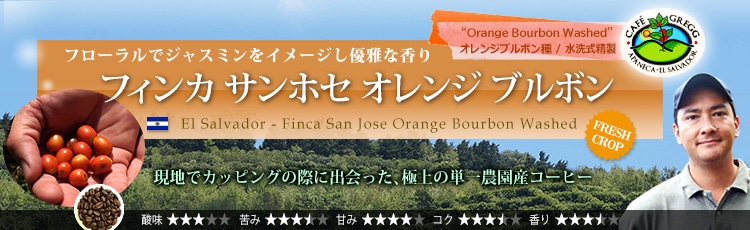 エルサルバドル フィンカ サンホセ オレンジ ブルボン - El Salvador Finca San Jose Orange Bourbon Washed