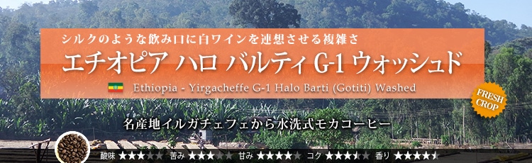 エチオピア ハロ バルティ G-1 ウォッシュド - Ethiopia Yirgacheffe G-1 Halo Barti (Gotiti) Washed