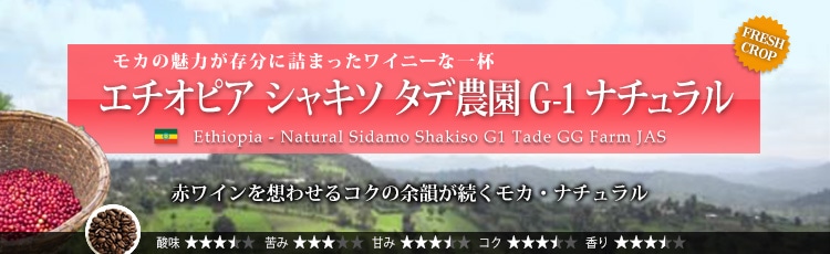 エチオピア シャキッソ タデ農園 G-1 - Ethiopia Sidamo G-1 Shakiso Tade GG Farm Natural