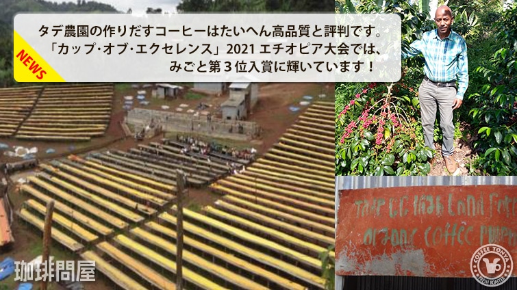 エチオピア シャキッソ タデ農園 G-1