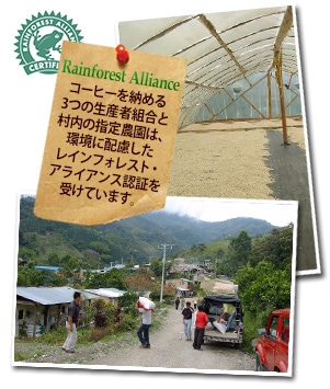 ラ マグダレナについて