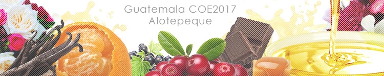 グアテマラ COE2017 #27 アロテペケのカッピングイメージ