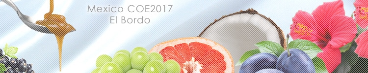 メキシコ COE2017 #15 エル ボルドのカッピングイメージ