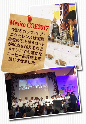 メキシコ COE2017 エル ボルドについて