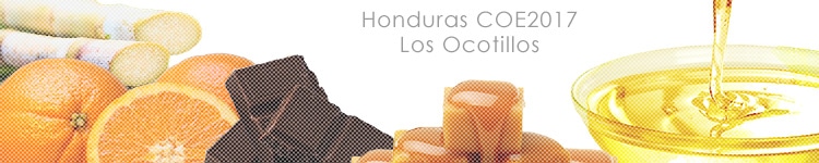 ホンジュラス COE2017 ロス オコティージョスのカッピングイメージ