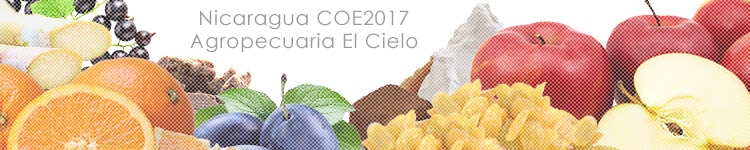 ニカラグアCOE2017 アグロペクアリア エル シエロのカッピングイメージ