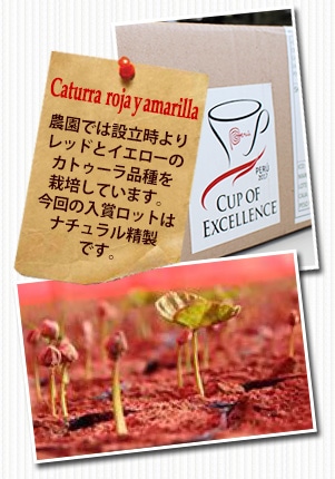 ペルーCOE2017 ロハスについて