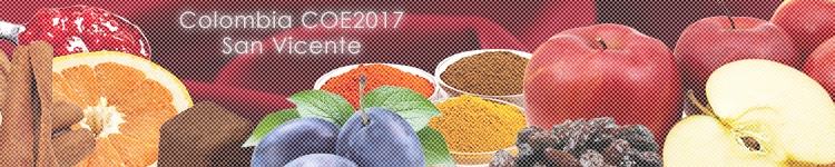 コロンビア COE2017 #10 サン ヴィセンテのカッピングイメージ