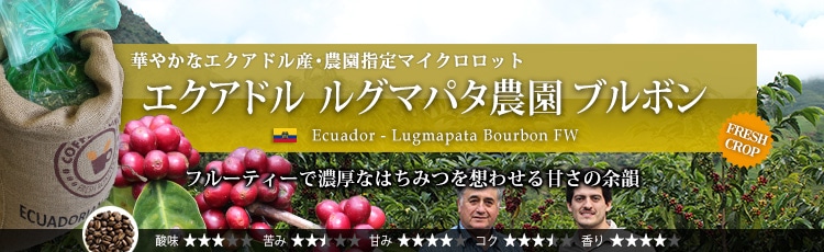 エクアドル ルグマパタ農園 ブルボン - Ecuador Lugmapata Bourbon FW
