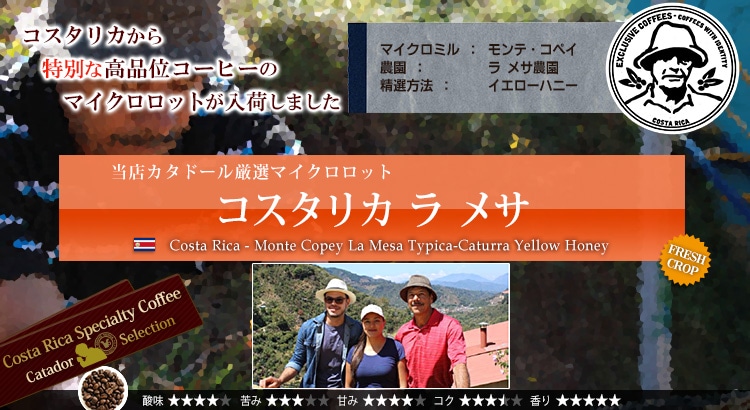 コスタリカ ラ メサ - Costa Rica Monte Copey La Mesa Typica-Caturra Yellow Honey