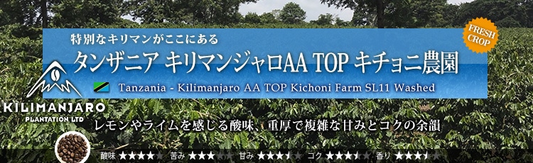タンザニア キリマンジャロAA TOP キチョニ農園 - Tanzania Kilimanjaro AA TOP Kichoni Farm SL11 Washed