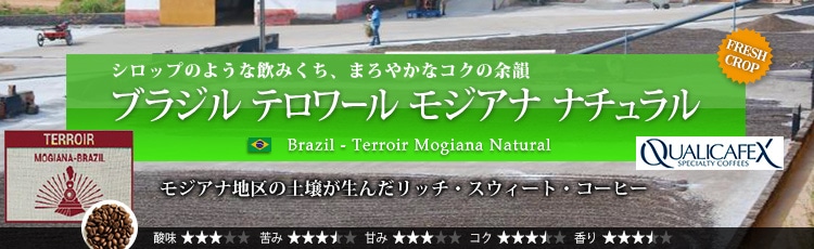 ブラジル テロワール モジアナ ナチュラル - Brazil Terroir Mogiana Natural