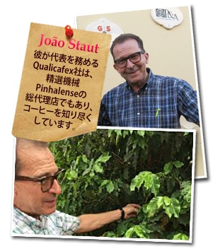 ブラジル テロワール モジアナ ナチュラルについて