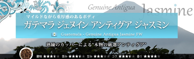 グアテマラ ジェヌイン アンティグア ジャスミン - Guatemala Genuine Antigua Jasmine FW