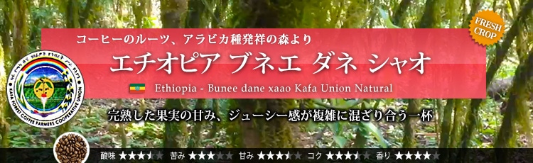 エチオピア ブネエ ダネ シャオ - Ethiopia Bunee dane xaao Kafa Union Natural