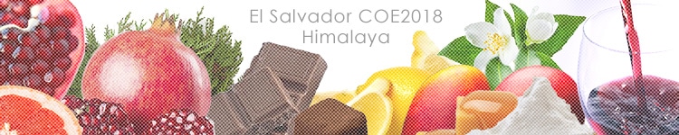 エルサルバドル COE2018 ヒマラヤのカッピングイメージ