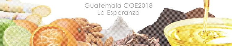 ガテマラ COE2018 ラ エスペランサのカッピングイメージ