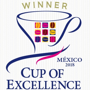 メキシコ COE2018 ウィナーマーク