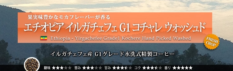 エチオピア イルガチェフェ G1 コチャレ ウォッシュド - Ethiopia Yirgachefee Grade1 Kochere Hand Picked Washed