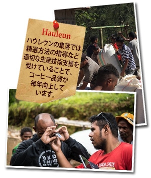 ハウレウンについて