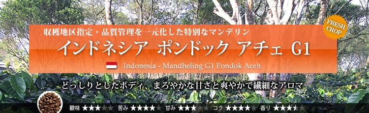 インドネシア ポンドック アチェ G1 - Indonesia Mandheling G1 Pondok Aceh