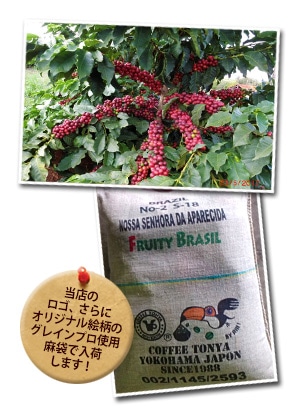 空輸便2017 フルーティーブラジル S-18 の香味