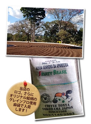 空輸便2018 フルーティーブラジル S-18 の香味