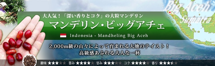 マンデリン ビッグアチェ