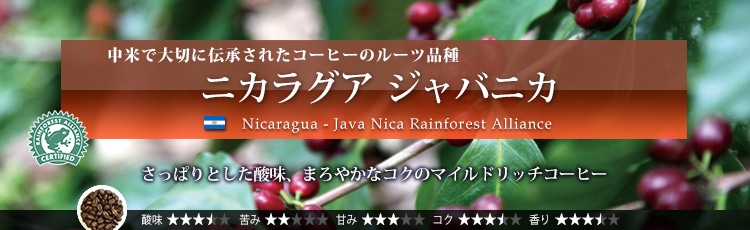 ニカラグア ジャバニカ - Nicaragua Java Nica