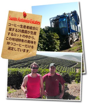 人気のブラジルコーヒー・ショコラが再び入荷