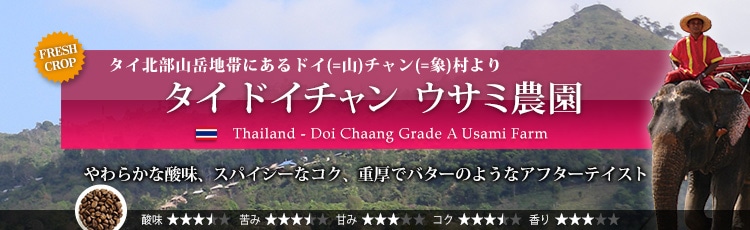 タイ ドイチャン ウサミ農園 - Thailand Doi Chaang Grade AA Usami Farm