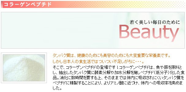 コラーゲンヘッダー