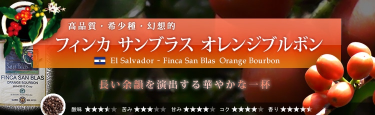 サンブラス・オレンジブルボン