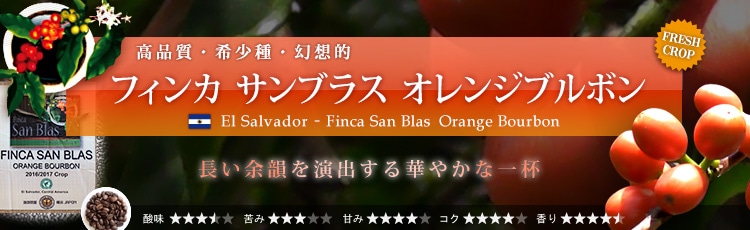サンブラス・オレンジブルボン