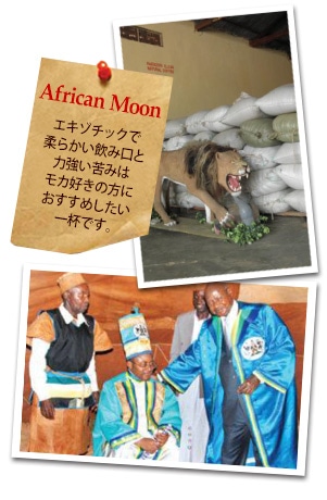 アフリカンムーンについて
