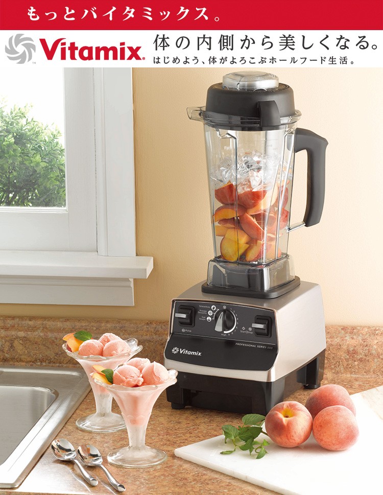 vita-mix pro500