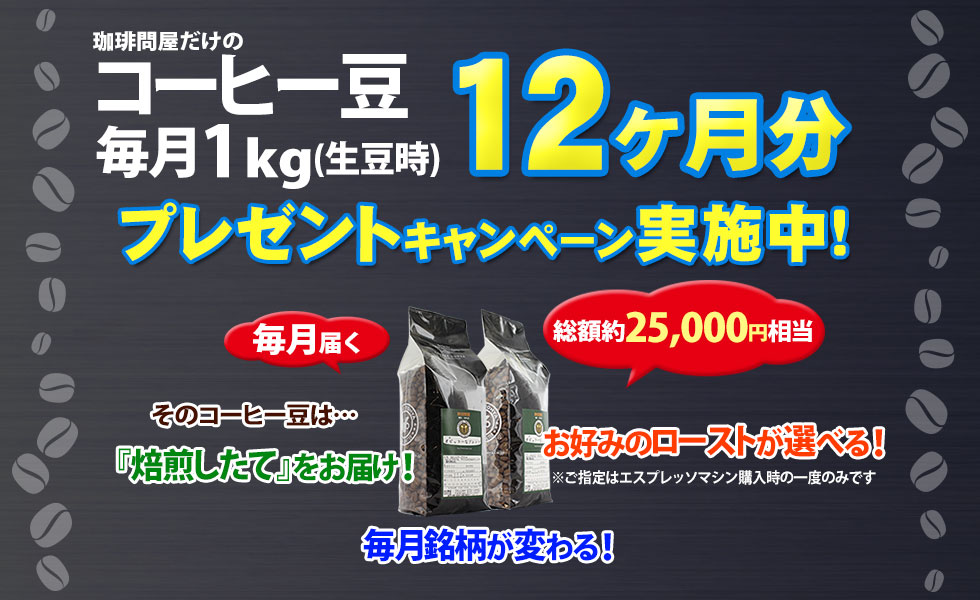 コーヒー豆 1年間 毎月1kg (生豆時500g×2袋)プレゼントキャンペーン