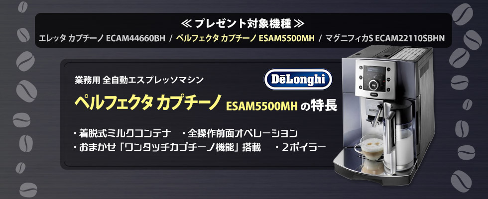 コーヒー豆 1年間 毎月1kg (生豆時500g×2袋)プレゼントキャンペーン