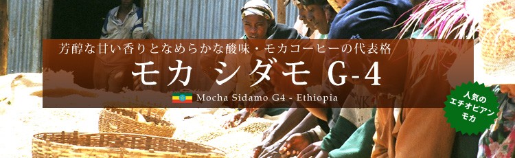 FȊÂƂȂ߂炩Ȏ_EJR[q[̑\i J V_ G-4 lC̃G`IsAJ Mocha Sidamo G4 - Ethiopia