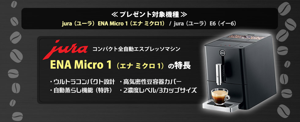 コーヒー豆 1年間 毎月1kg (生豆時500g×2袋)プレゼントキャンペーン