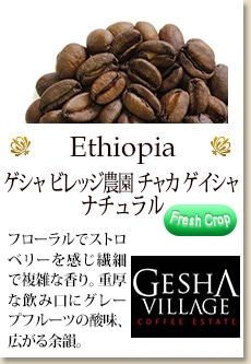 エチオピア ゲシャ ビレッジ農園 ゲイシャ ナチュラル