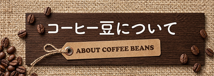 コーヒー豆について