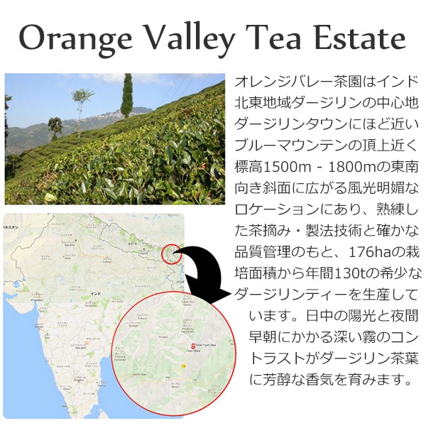 2019年 ダージリン ファーストフラッシュ SFTGFOP1 DJ-4 オレンジバレー茶園 50g / 紅茶 茶葉 クオリティーシーズンティー シーズナルティー 数量限定