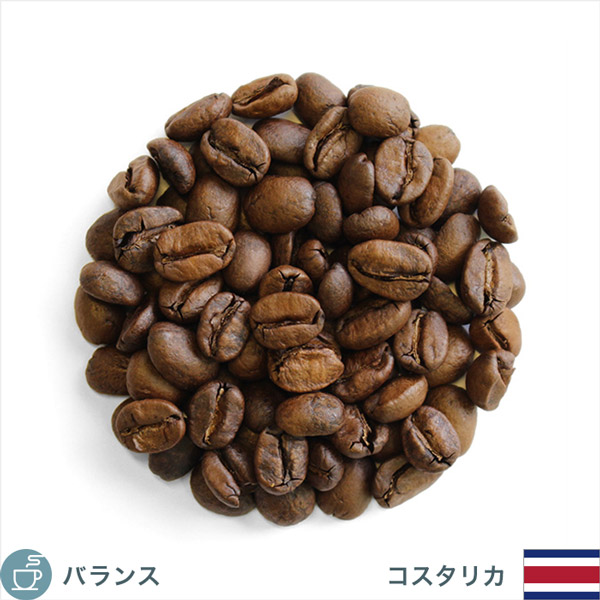 限定品 コスタリカ ジャガー ハニー 特別なコーヒー コーヒー通販サイト 珈琲問屋オンラインストア 限定品 コスタリカ ジャガー ハニー 特別なコーヒー コーヒー通販サイト 珈琲問屋オンラインストア