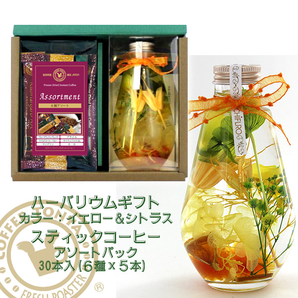 珈琲問屋 ギフト ハーバリウム シトラスイエロー スティックインスタントコーヒー アソート 30本入 Drsc 45a Yc